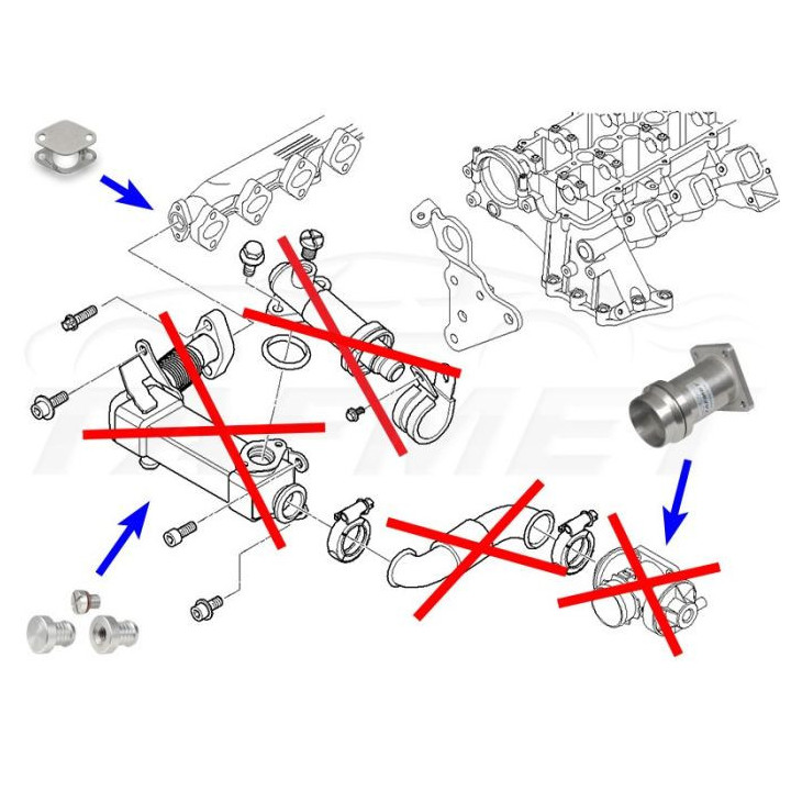 KIT SUPPRESSION VANNE EGR BMW E46 E60 E61 E65 X5 E53 M57N