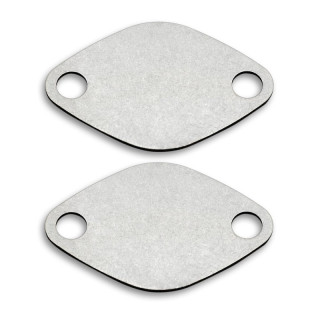 PLAQUES D'OBTURATION DE VANNE EGR POUR RENAULT OPEL VAUXHALL À MOTEURS 2.2 2.5 DCI CDTI