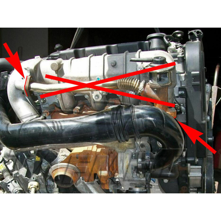 2 PLAQUE SUPPRESSION VANNE EGR Citroen Peugeot HDI Fiat JTD 2.0 8V DW10TD DW10ATD