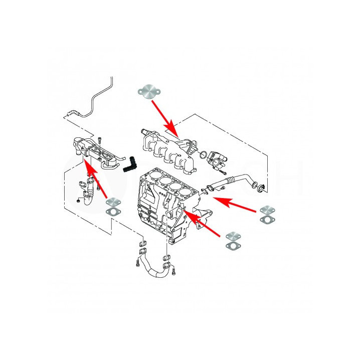SUPPRESSION EGR COMMON RAIL VAG TDI 1.2 1.6 2.0 TDI