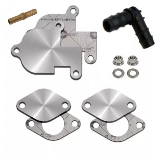 KIT SUPPRESSION VANNE EGR VAG VW SEAT SKODA AUDI 1.9 2.0 TDI BEW BHW BKE