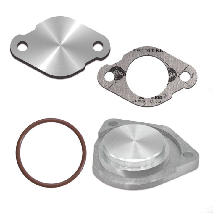 Kit suppression EGR 2.0 HDi DW10 Peugeot Citroën Ford