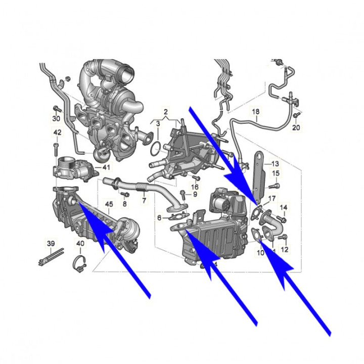 Suppression EGR VW T6 Crafter MAN TGE 2.0 TDI – CXEB CXEC DAVA DMZA 199 204ch
