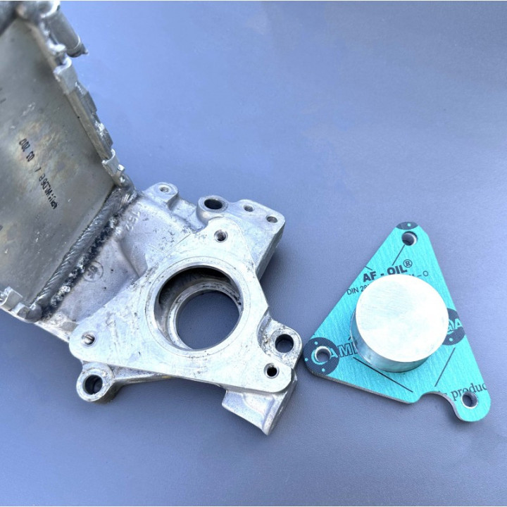 Kit suppression EGR 1.6 2.0 TDI CUNA CLCH Audi VW