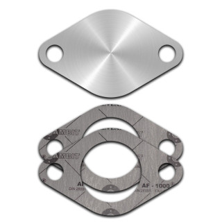 PLAQUE SUPPRESSION EGR FORD RANGER TRANSIT 2.2 3.2 DCI 2007+