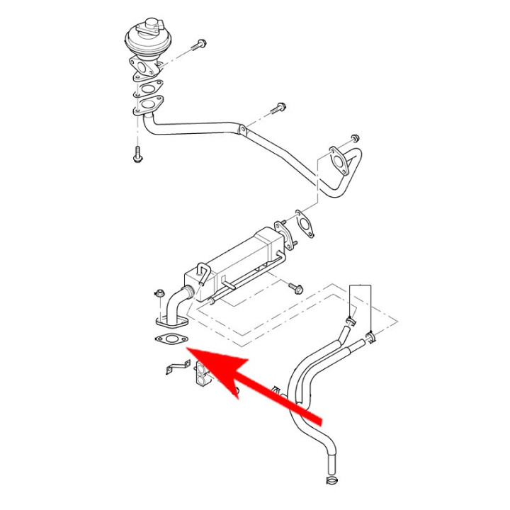 PLAQUE SUPPRESSION EGR FORD RANGER TDCI 2011+