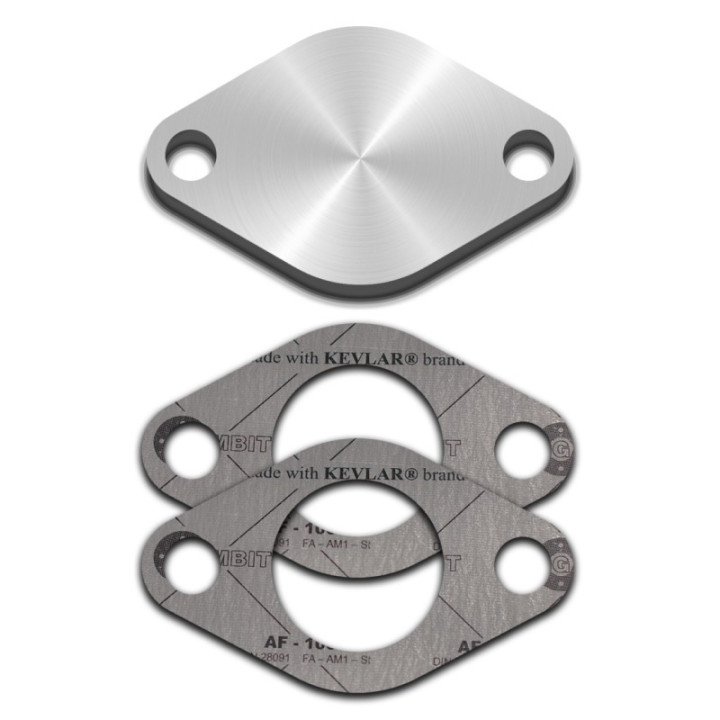 PLAQUE SUPPRESSION EGR FORD RANGER TDCI 2011+