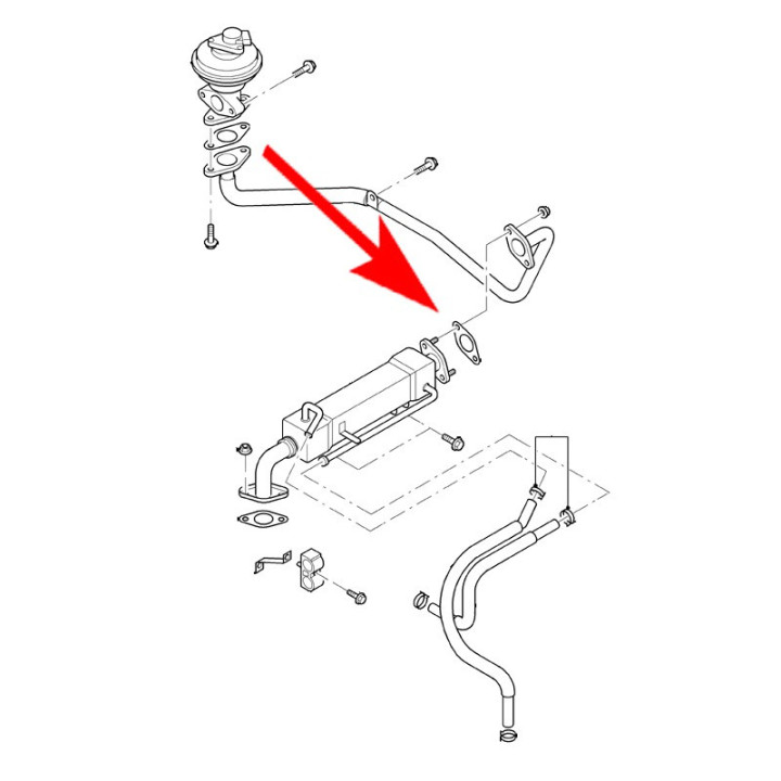PLAQUE SUPPRESSION EGR FORD RANGER TDCI 2011+