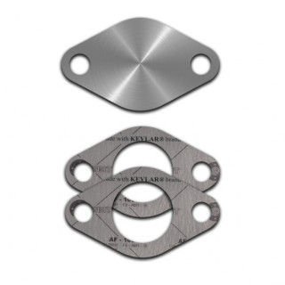 PLAQUE SUPPRESSION VANNE EGR Citroen Peugeot HDI Ford TDCI 2.0 16V