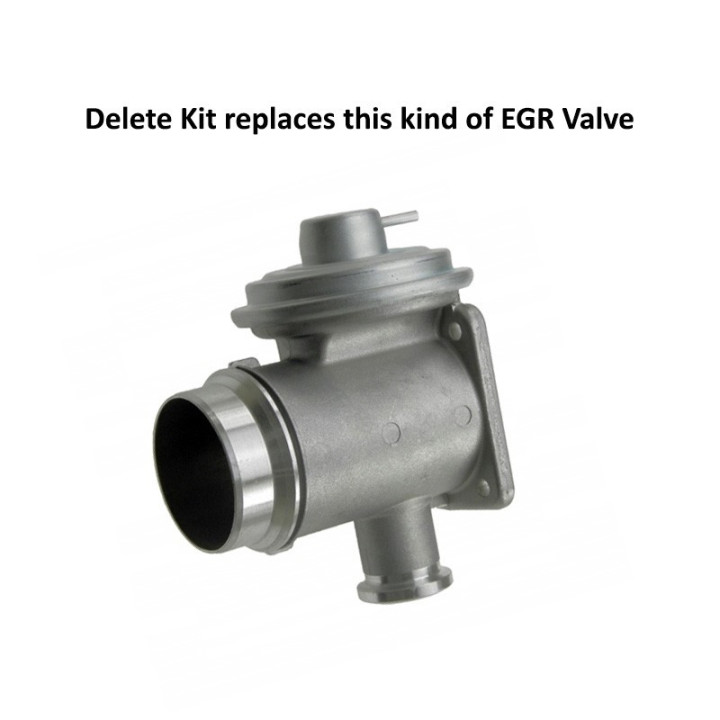 SUPPRESSION EGR BMW E46 E60 E61 E65 X5 E53 M57N