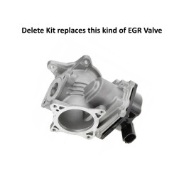 SUPPRESSION EGR VW CRAFTER AMAROK 2.0 3.0 TDI BITDI