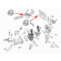 SUPPRESSION EGR Mercedes 2.2 CDI OM651