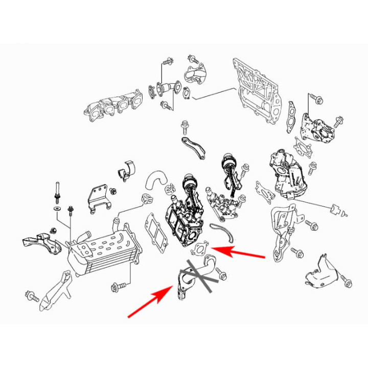 SUPPRESSION EGR Mercedes 2.2 CDI OM651