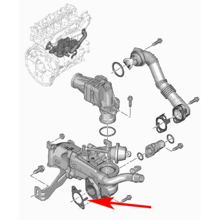 SUPPRESSION EGR CITROEN FIAT FORD 1.4 1.5 1.6 HDi TDCi BlueHDi
