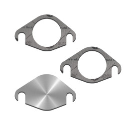 SUPPRESSION EGR CITROEN FIAT FORD 1.4 1.5 1.6 HDi TDCi BlueHDi