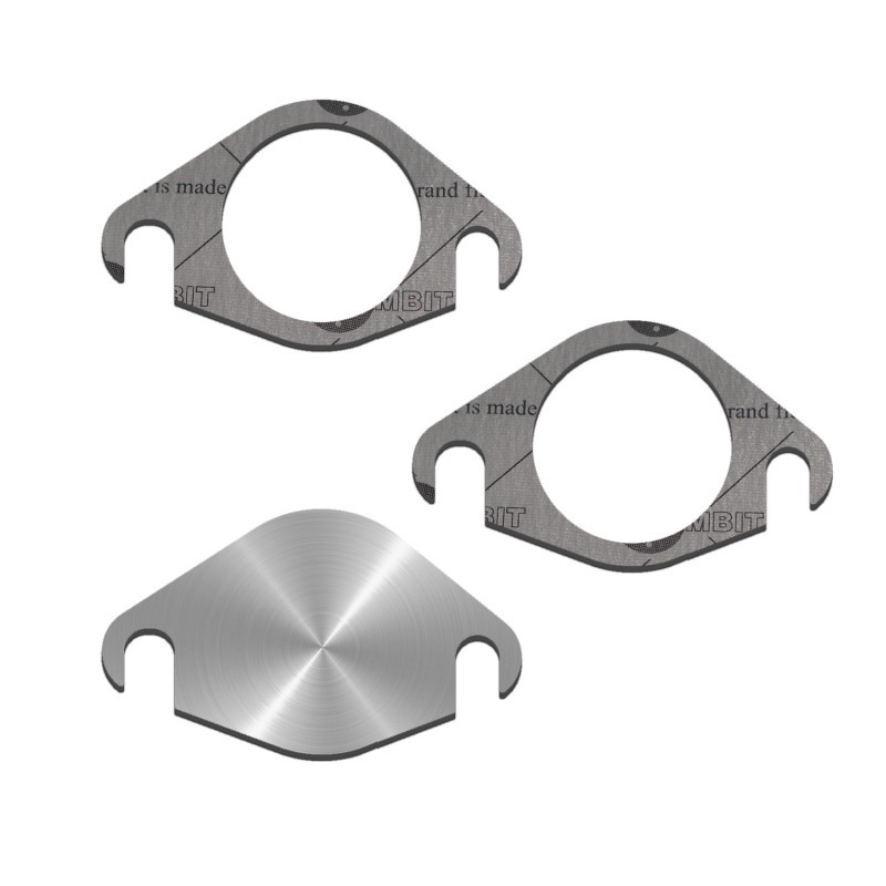 SUPPRESSION EGR CITROEN FIAT FORD 1.4 1.5 1.6 HDi TDCi BlueHDi