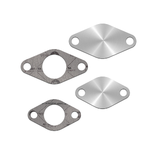 SUPPRESSION VANNE EGR CITROËN FIAT PEUGEOT 2.0D/2.2D