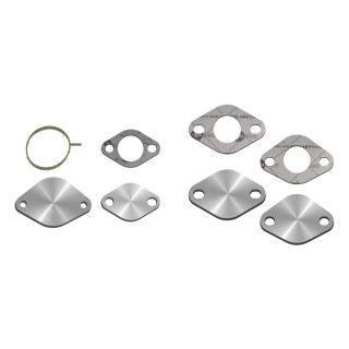 Kit Suppression EGR Mercedes 2.2 CDI OM651 BlueTEC