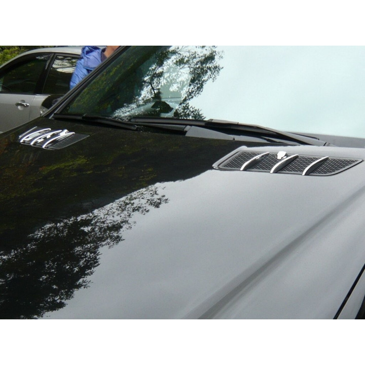 AILETTES DE CAPOT MERCEDES ML W164 X164