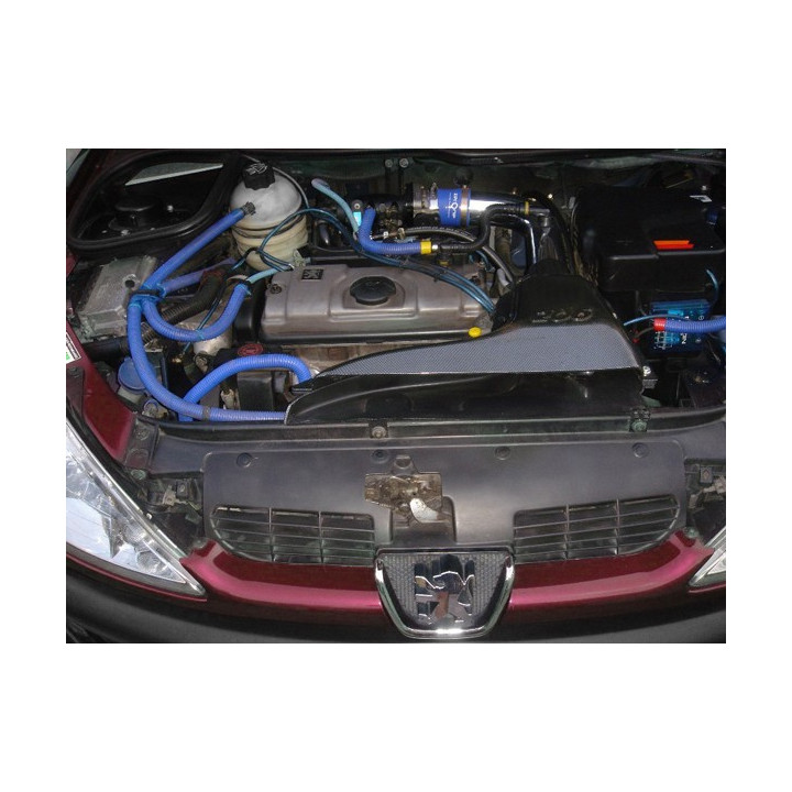 Admission direct look carbone Peugeot 206