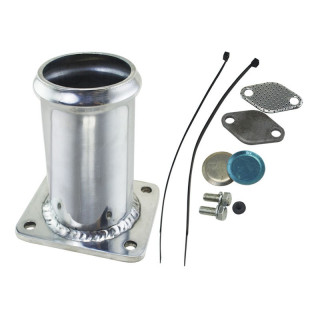 KIT SUPPRESSION VANNE EGR BMW E46 E39 X3 X5 E38