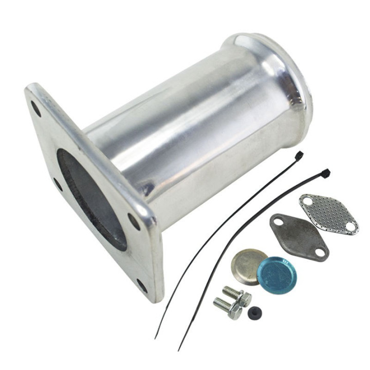 KIT SUPPRESSION VANNE EGR BMW E46 E39 X3 X5 E38