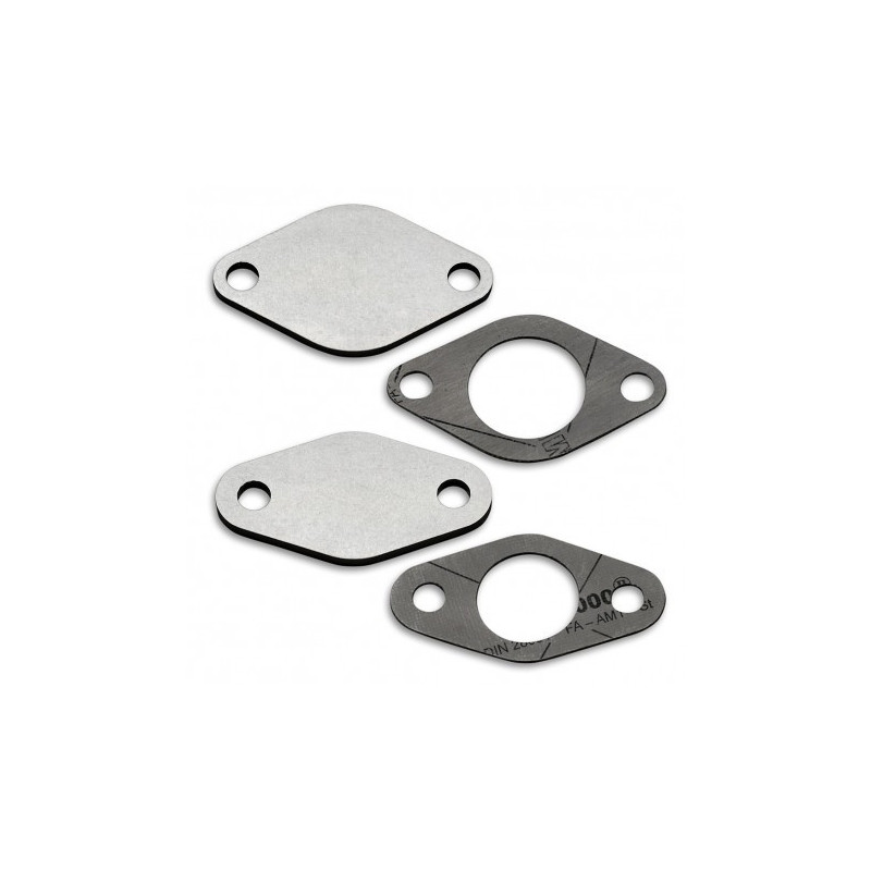 PLAQUE SUPPRESSION VANNE EGR VAG AUDI SEAT SKODA VW 1.4 1.9 2.0 2.5 TDI