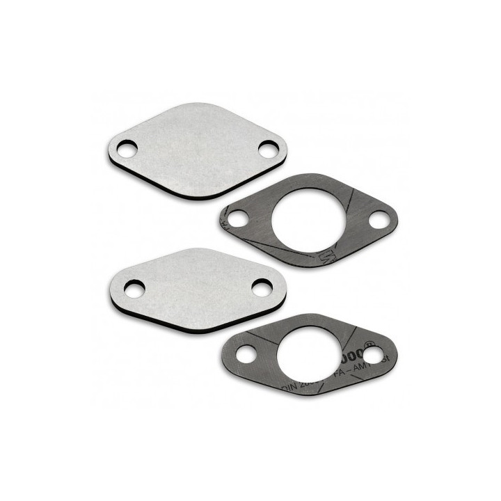 PLAQUE SUPPRESSION VANNE EGR VAG AUDI SEAT SKODA VW 1.4 1.9 2.0 2.5 TDI