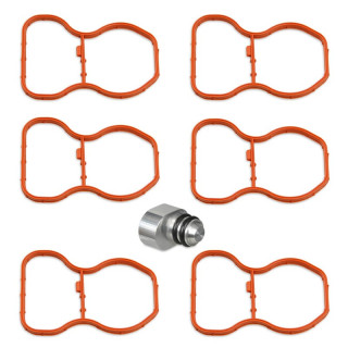 KIT SUPPRESSION CLAPETS D'ADMISSION POUR BMW N47