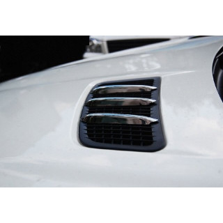 AILETTES DE CAPOT MERCEDES SLK R172