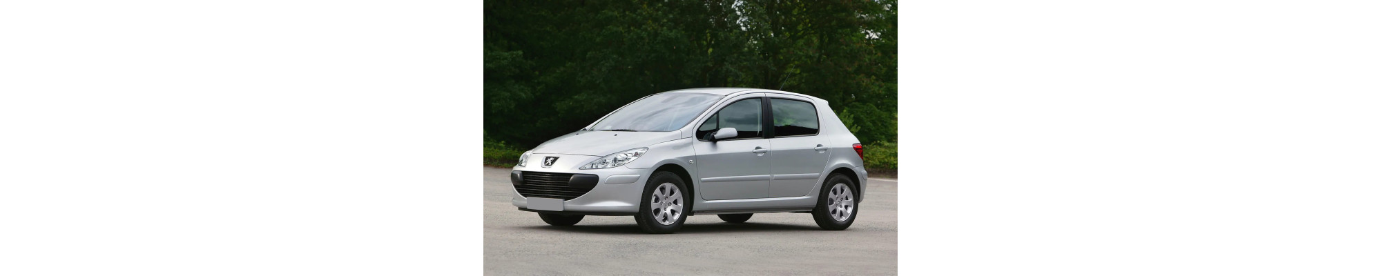 P307 T5 2001-2008