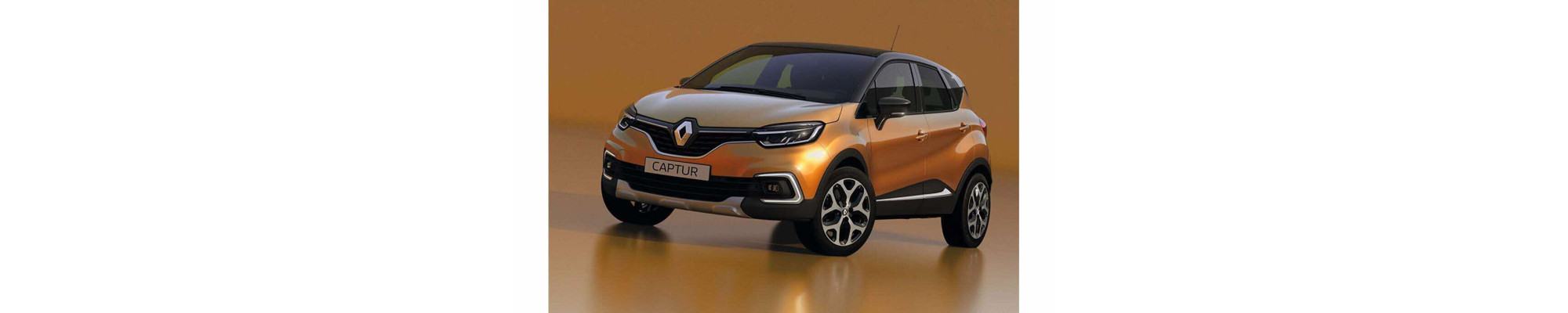 CAPTUR 2013-2019