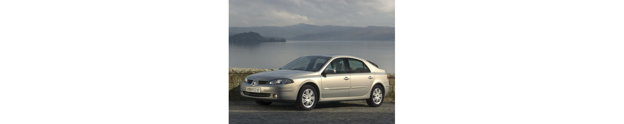 LAGUNA 1993-2015