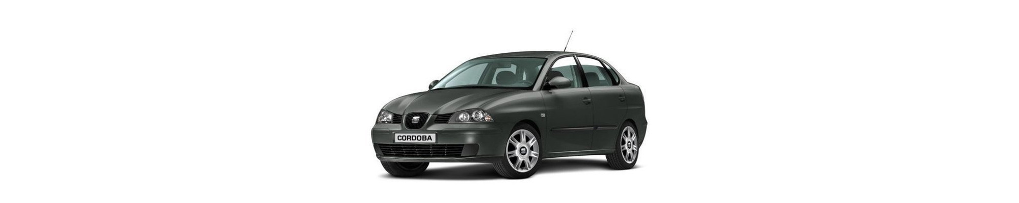 1993-2009