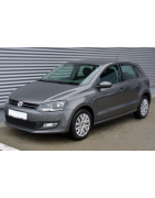 POLO 5 2009-2017