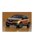 CAPTUR 2013-2019